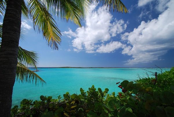 Caribbean beach scene