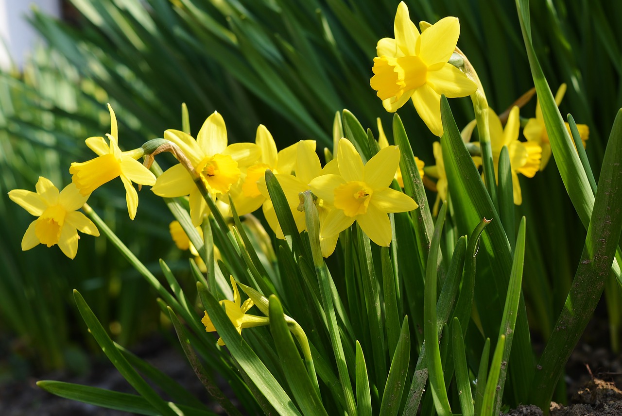 leading market rates in the spring