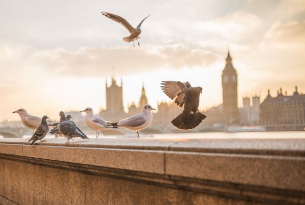 London